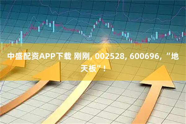 中盛配资APP下载 刚刚, 002528, 600696, “地天板”!