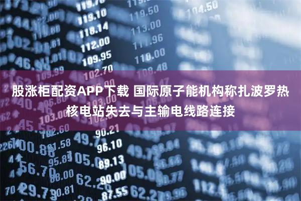股涨柜配资APP下载 国际原子能机构称扎波罗热核电站失去与主输电线路连接