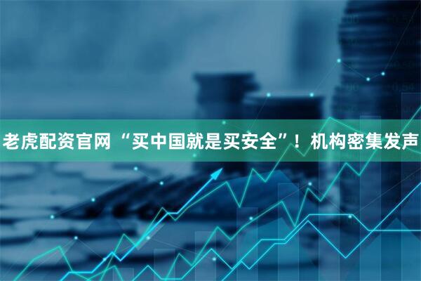 老虎配资官网 “买中国就是买安全”！机构密集发声